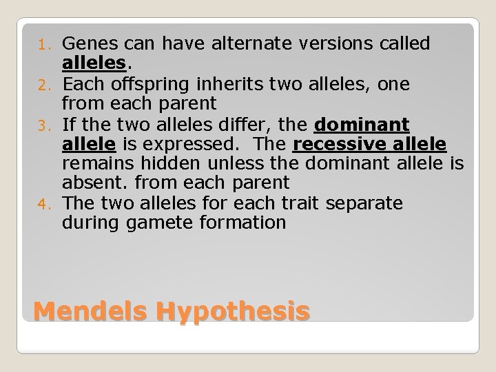 Genes can have alternate versions called alleles. 2. Each offspring inherits two alleles, one