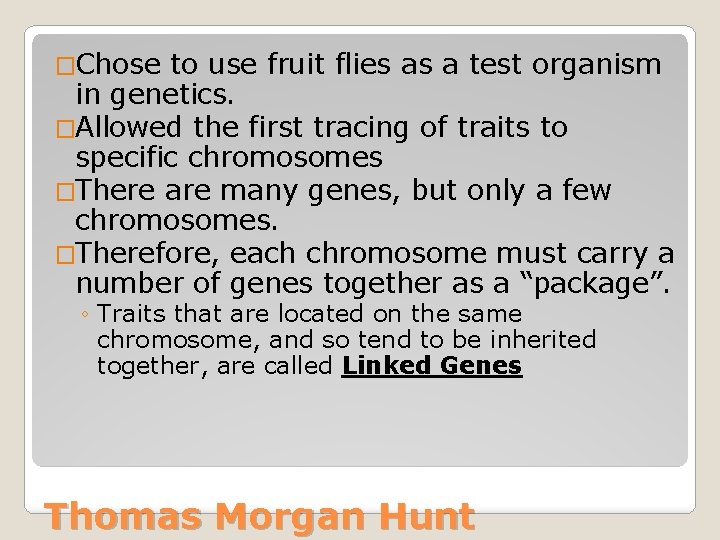 �Chose to use fruit flies as a test organism in genetics. �Allowed the first