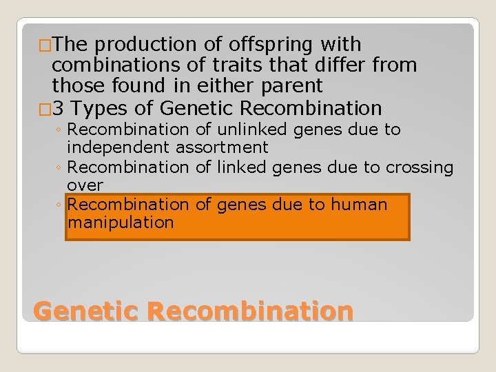 �The production of offspring with combinations of traits that differ from those found in