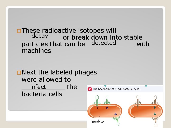 �These radioactive isotopes will decay _____ or break down into stable detected particles that