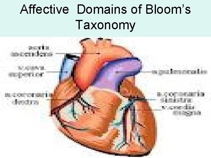 Affective Domains of Bloom’s Taxonomy 