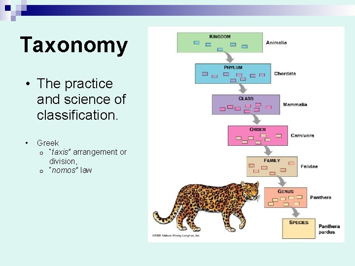 Taxonomy • The practice and science of classification. • Greek o “taxis” arrangement or