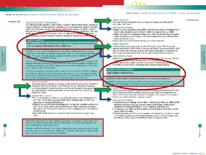 Bright Futures in the Practice Setting Using the 3 rd Edition Bright Futures Guidelines