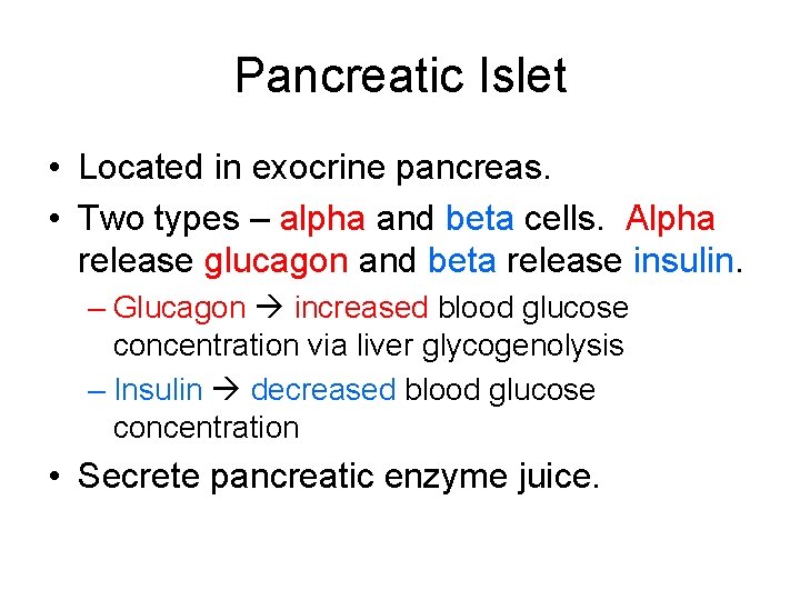 Pancreatic Islet • Located in exocrine pancreas. • Two types – alpha and beta