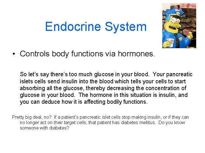 Endocrine System • Controls body functions via hormones. So let’s say there’s too much