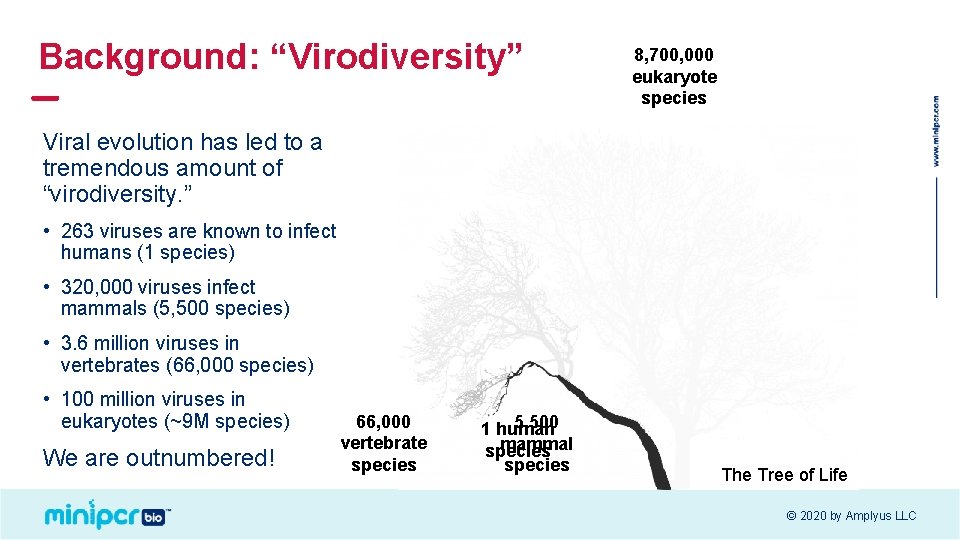 Background: “Virodiversity” 8, 700, 000 eukaryote species Viral evolution has led to a tremendous