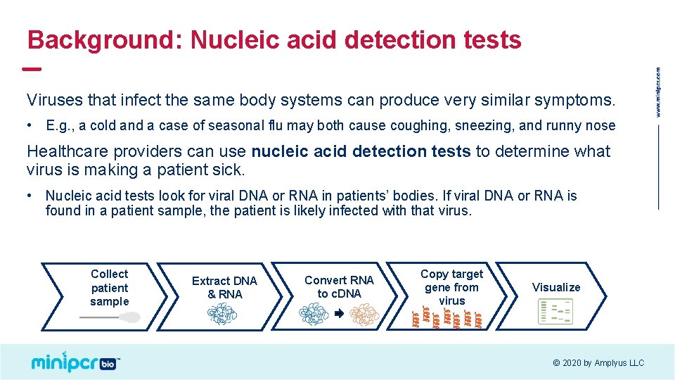 Background: Nucleic acid detection tests Viruses that infect the same body systems can produce
