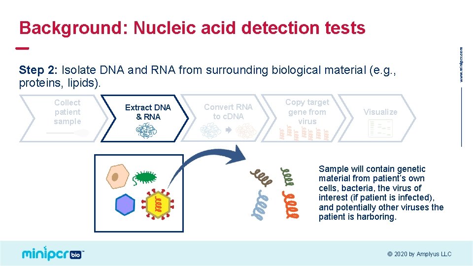 Background: Nucleic acid detection tests Step 2: Isolate DNA and RNA from surrounding biological