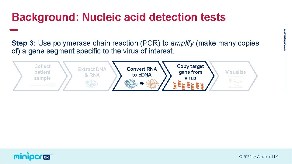 Background: Nucleic acid detection tests Step 3: Use polymerase chain reaction (PCR) to amplify Background: Nucleic acid detection tests Step 3: Use polymerase chain reaction (PCR) to amplify