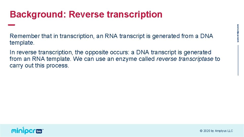 Background: Reverse transcription Remember that in transcription, an RNA transcript is generated from a Background: Reverse transcription Remember that in transcription, an RNA transcript is generated from a