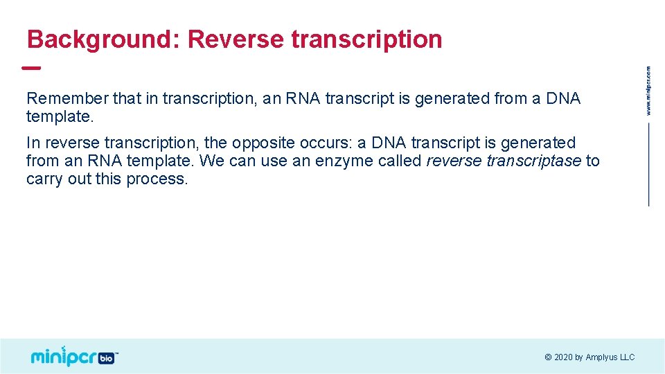 Background: Reverse transcription Remember that in transcription, an RNA transcript is generated from a