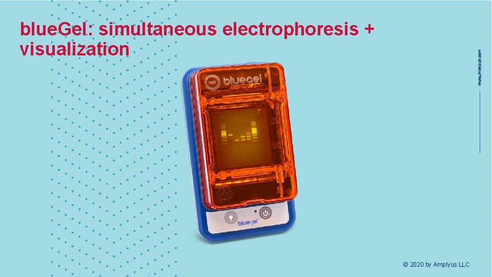 blue. Gel: simultaneous electrophoresis + visualization © 2020 by Amplyus LLC 