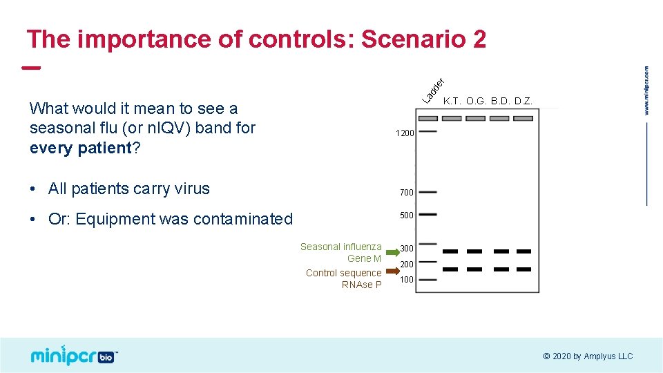 La dd er The importance of controls: Scenario 2 What would it mean to