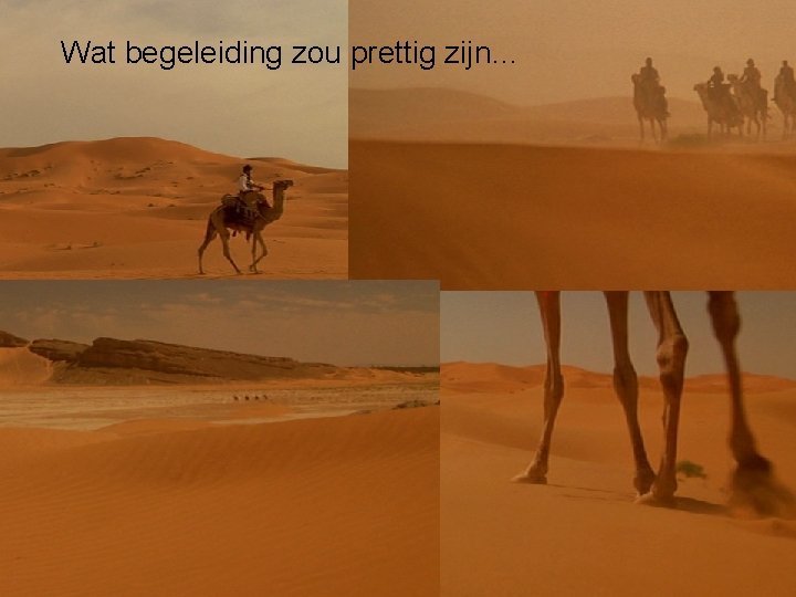 Wat begeleiding zou prettig zijn… 