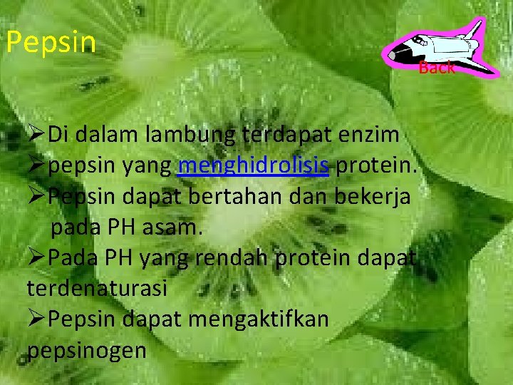 Pepsin Back ØDi dalam lambung terdapat enzim Øpepsin yang menghidrolisis protein. ØPepsin dapat bertahan