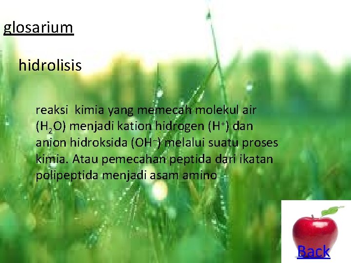 glosarium hidrolisis reaksi kimia yang memecah molekul air (H 2 O) menjadi kation hidrogen