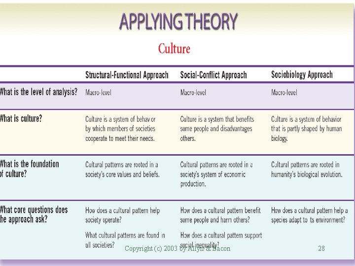 Applying Theory: Culture Copyright (c) 2003 by Allyn & Bacon 28 