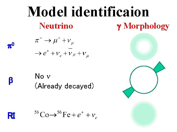 Model identificaion Neutrino p 0 b RI No n (Already decayed) g Morphology 