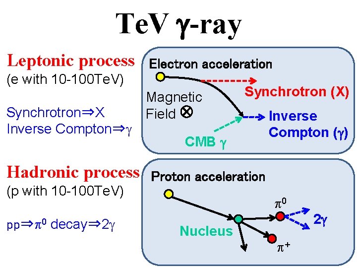 Te. V g-ray Leptonic process Electron acceleration (e with 10 -100 Te. V) Synchrotron⇒X
