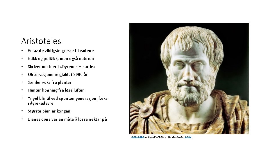 Aristoteles • En av de viktigste greske filosofene • Etikk og politikk, men også