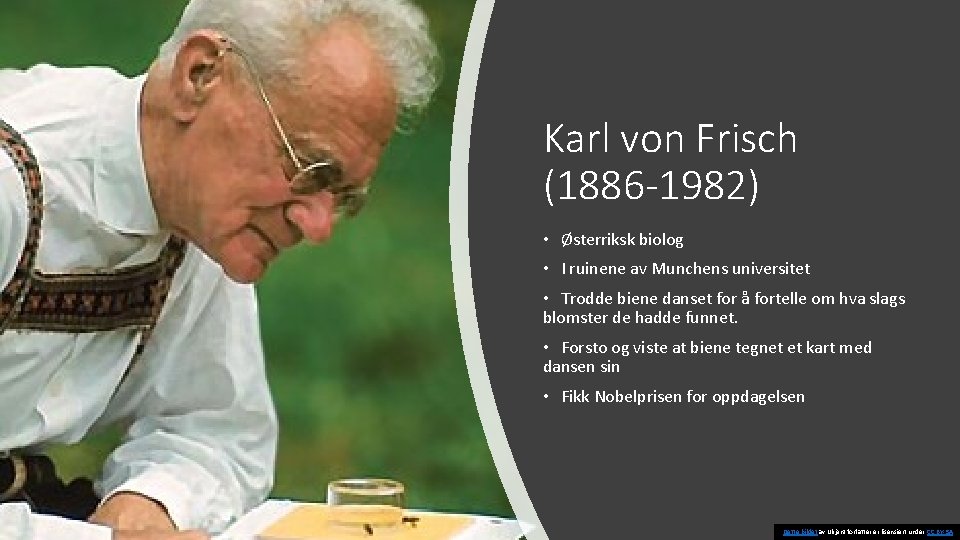 Karl von Frisch (1886 -1982) • Østerriksk biolog • I ruinene av Munchens universitet