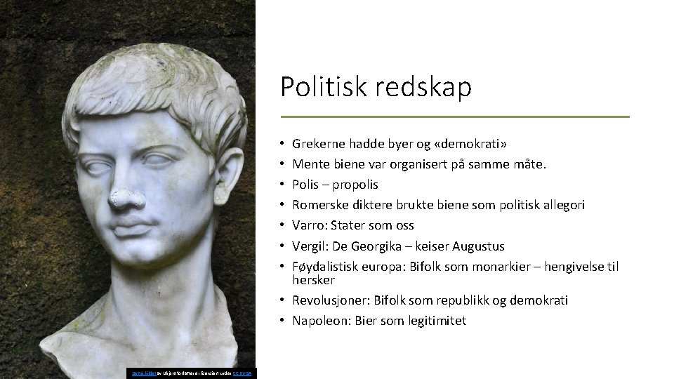 Politisk redskap Grekerne hadde byer og «demokrati» Mente biene var organisert på samme måte.