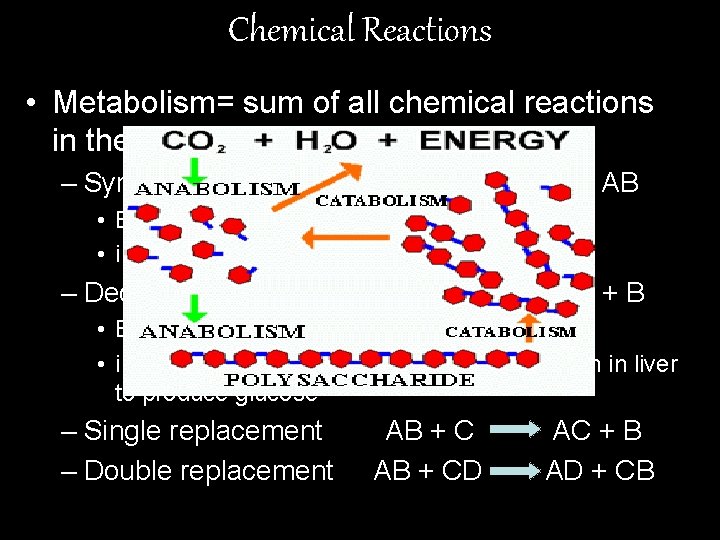 Chemical Reactions • Metabolism= sum of all chemical reactions in the body – Synthesis