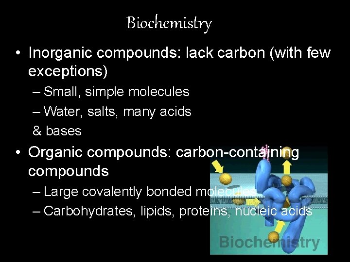 Biochemistry • Inorganic compounds: lack carbon (with few exceptions) – Small, simple molecules –