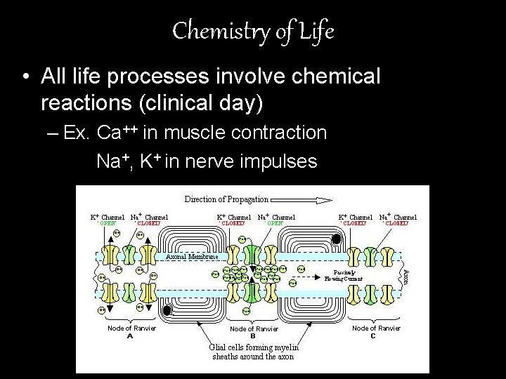 Chemistry of Life • All life processes involve chemical reactions (clinical day) – Ex.