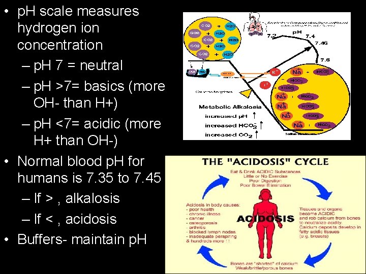  • p. H scale measures hydrogen ion concentration – p. H 7 =