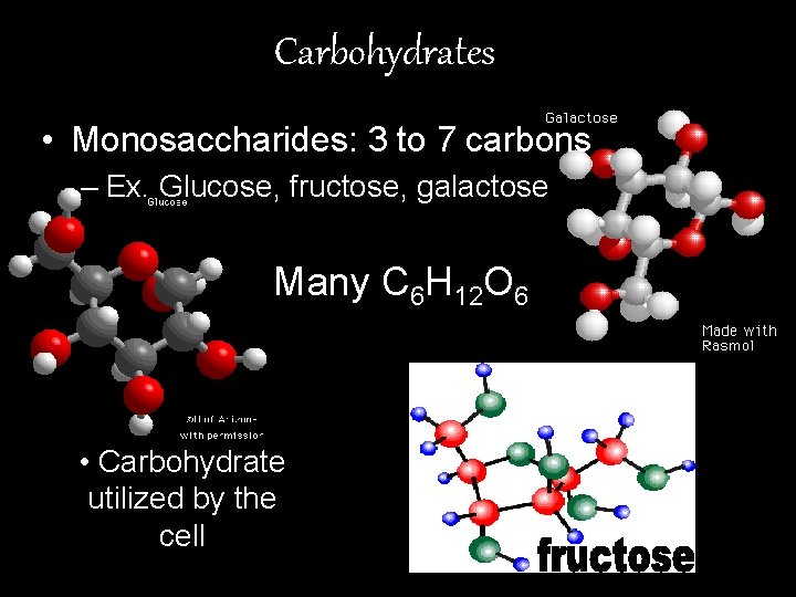 Carbohydrates • Monosaccharides: 3 to 7 carbons – Ex. Glucose, fructose, galactose Many C