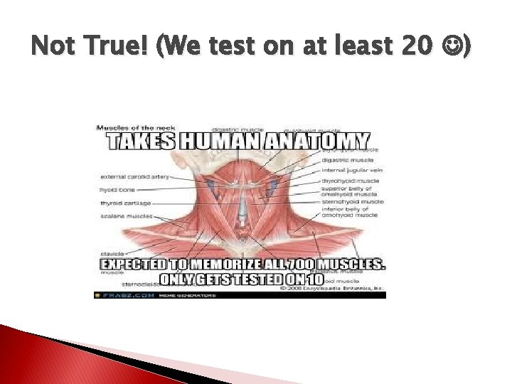 Not True! (We test on at least 20 ) 