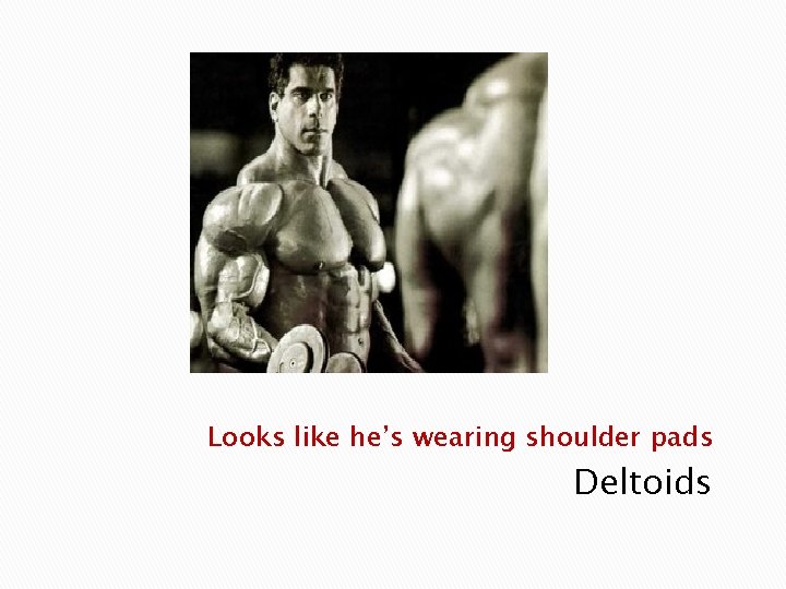 Looks like he’s wearing shoulder pads Deltoids 