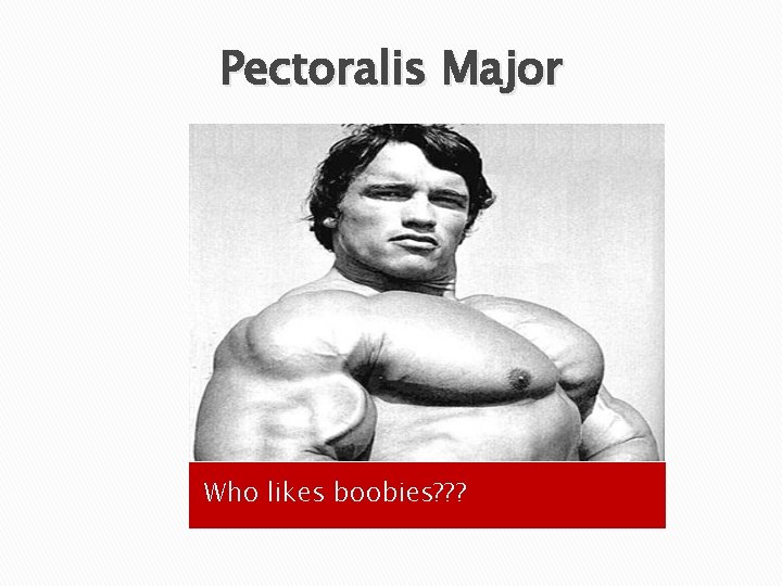 Pectoralis Major Who likes boobies? ? ? 