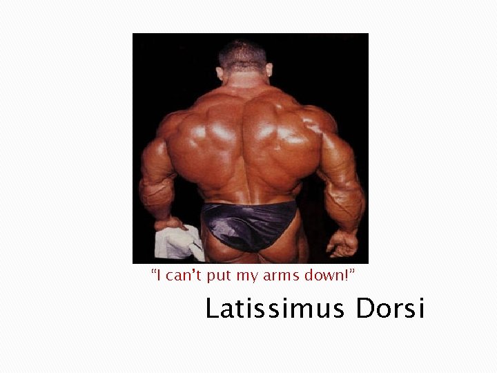 “I can’t put my arms down!” Latissimus Dorsi 