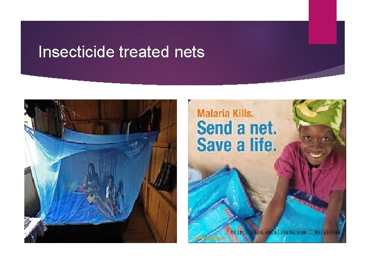 Insecticide treated nets 