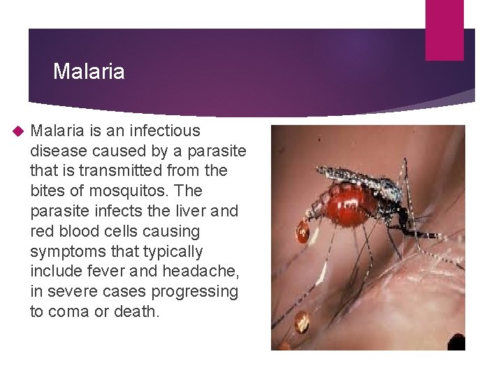 Malaria is an infectious disease caused by a parasite that is transmitted from the