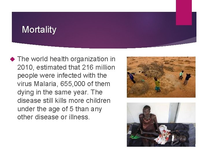 Mortality The world health organization in 2010, estimated that 216 million people were infected