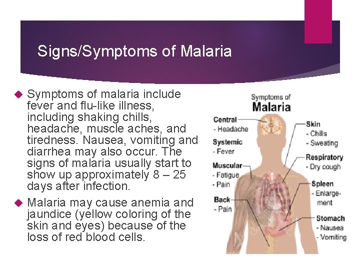 Signs/Symptoms of Malaria Symptoms of malaria include fever and flu-like illness, including shaking chills,