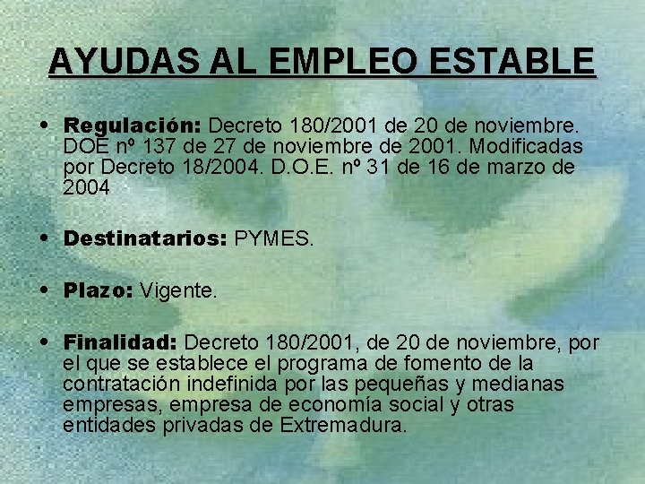 AYUDAS AL EMPLEO ESTABLE • Regulación: Decreto 180/2001 de 20 de noviembre. DOE nº