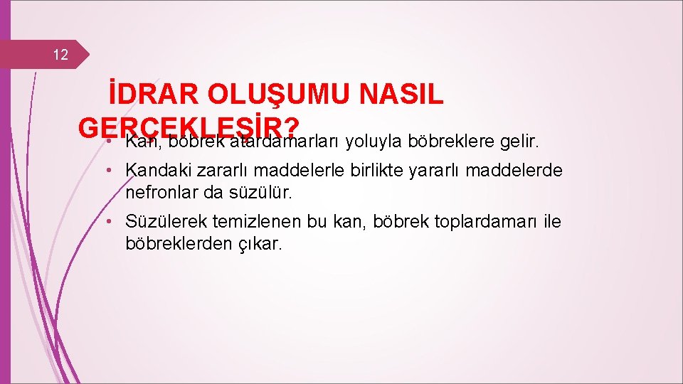 12 İDRAR OLUŞUMU NASIL GERÇEKLEŞİR? • Kan, böbrek atardamarları yoluyla böbreklere gelir. • Kandaki