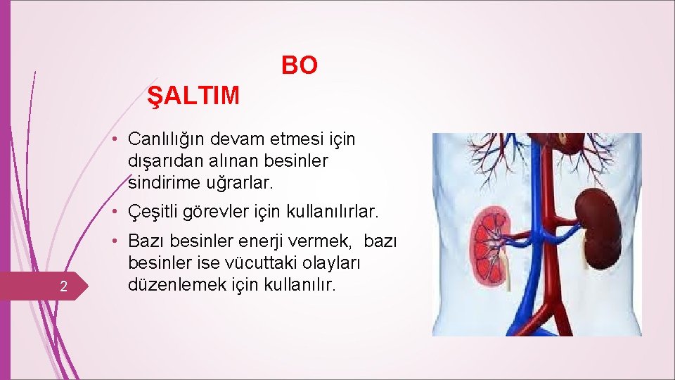 BO ŞALTIM • Canlılığın devam etmesi için dışarıdan alınan besinler sindirime uğrarlar. • Çeşitli
