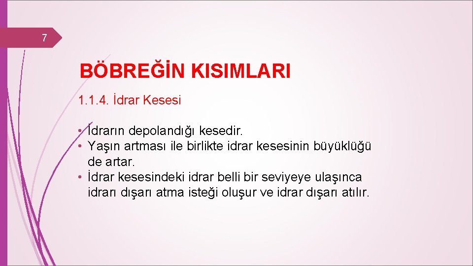 7 BÖBREĞİN KISIMLARI 1. 1. 4. İdrar Kesesi • İdrarın depolandığı kesedir. • Yaşın