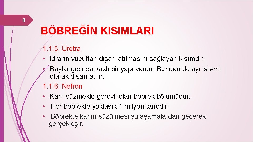 8 BÖBREĞİN KISIMLARI 1. 1. 5. Üretra • idrarın vücuttan dışarı atılmasını sağlayan kısımdır.