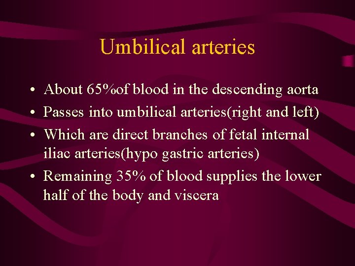 Umbilical arteries • About 65%of blood in the descending aorta • Passes into umbilical