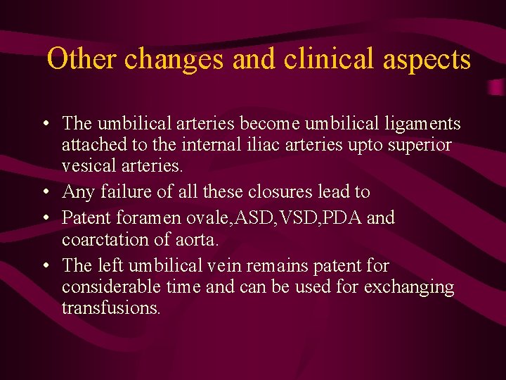 Other changes and clinical aspects • The umbilical arteries become umbilical ligaments attached to