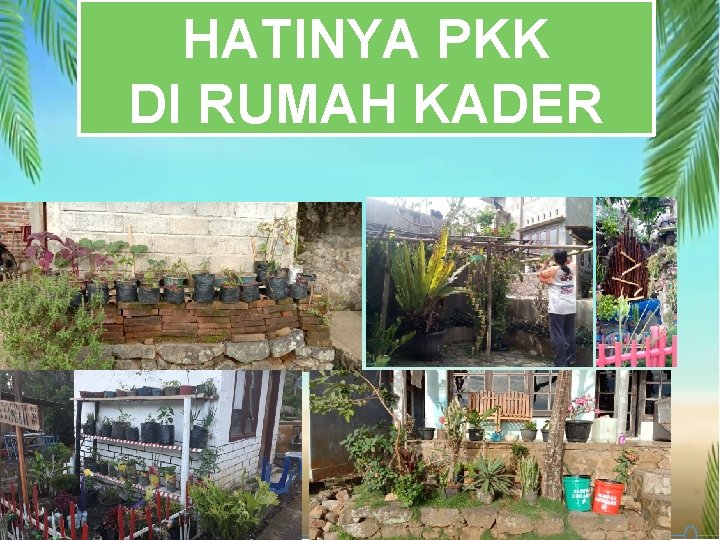 HATINYA PKK DI RUMAH KADER 