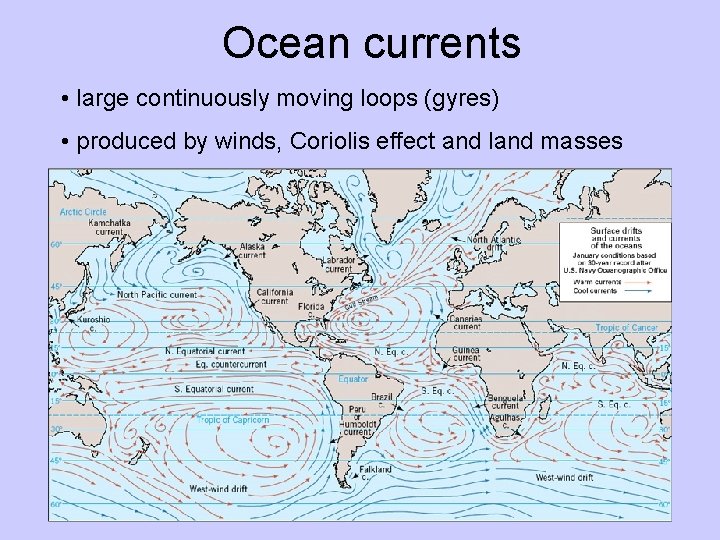 Ocean currents • large continuously moving loops (gyres) • produced by winds, Coriolis effect