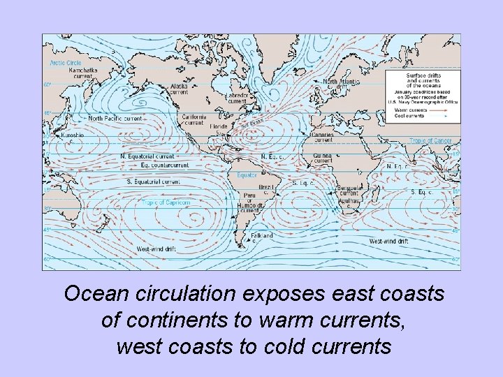Ocean circulation exposes east coasts of continents to warm currents, west coasts to cold