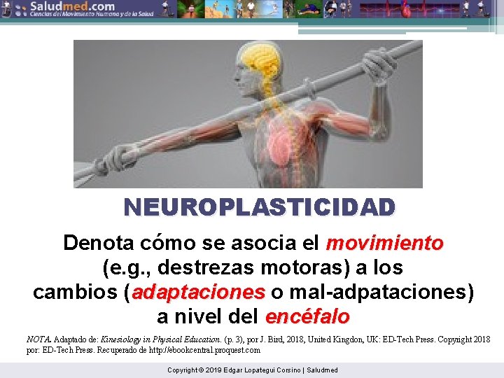 NEUROPLASTICIDAD Denota cómo se asocia el movimiento (e. g. , destrezas motoras) a los